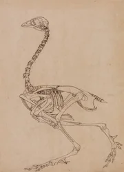 Étude d