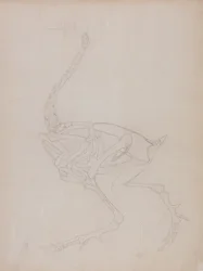 Étude d