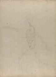 Étude de la Figure Humaine, Vue Latérale, d