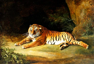 Tigre