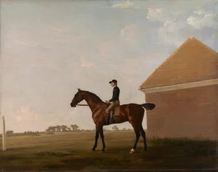 Turf, avec Jockey, à Newmarket