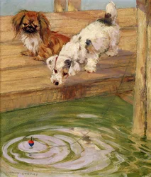 Un pékin et un terrier