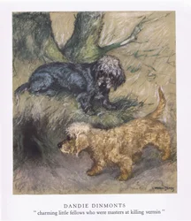 Dandie Dimonts (colour litho)