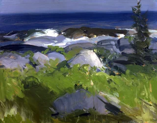 Rive couverte de vignes - Île Monhegan, 1913
