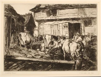 Vaches en attente