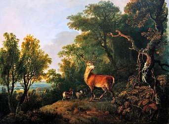 Un cerf et trois biches dans un paysage boisé