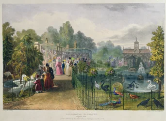 La Volière aux Jardins Zoologiques, Regent