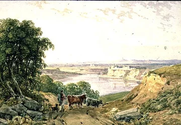 Paysage avec bétail