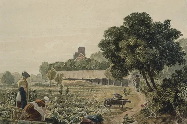 Jardin maraîcher à Chelsea