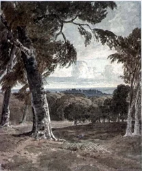 Parc de Windsor, avec le château au loin