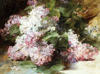 Lilas. Peinture de Georges Jeannin (1841-1925) Collection privee.