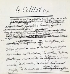 Manuscrit de Buffon sur le Colibri. sd. 18ème siècle