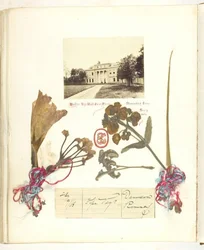 Sans titre [vue de Broadlands avec fleurs séchées], 1868
