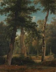 Une forêt à Fontainebleau