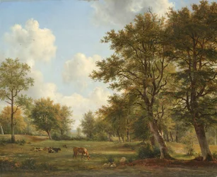 Paysage près de Hilversum
