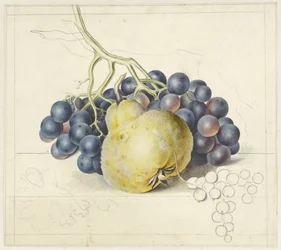 Nature morte avec des raisins et une poire