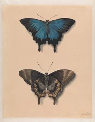 Deux chapelles