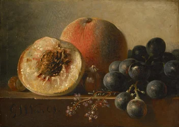 Fruits