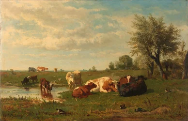 Vaches dans le pré