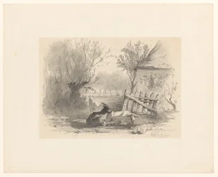 Deux chèvres et un mouton près d