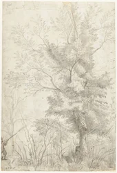 Bois de la Villa Madama près de Rome, avec un chasseur tirant