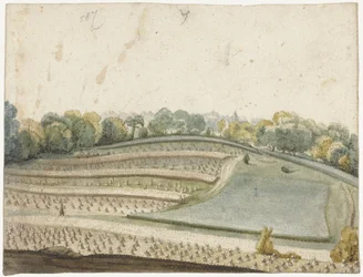 Panorama d