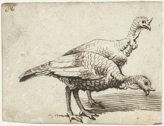 Deux dindons