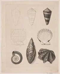 Tableau avec des escargots