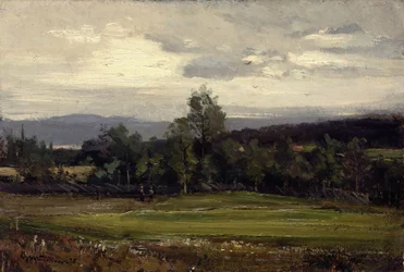 Champs à Hedmark en été