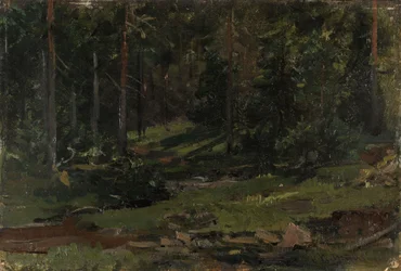Paysage boisé