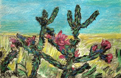 Cholla in Bloom, 2017 (dessin sur papier)