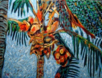 Palmier à noix de coco à midi