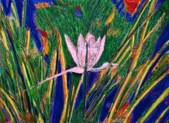 Nénuphars, 2019