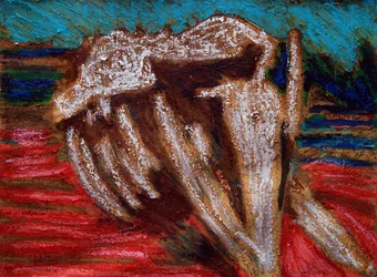 Squelette de baleine