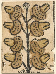 Carte à Jouer