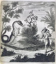 Un dragon effrayant, vers 1660