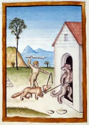 Un chien et un singe tyrannisant une belette