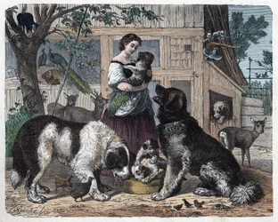 Affection entre une fermière et ses chiens. Dans "Wenn Jemand eine Reise thut, so kann er was erzählen" (Quand quelqu