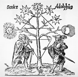 Arbre alchimique, diagrammatique et emblématique, du Museum Hermeticum par Thomas Norton (1749) illustré dans une histoire de la magie publiée à la fin du 19e siècle
