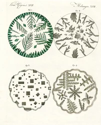 Tous types de cristaux de sel