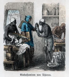 Histoire ancienne. Égypte. Embaumement des animaux ... (gravure)