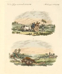 Antilopes chassant avec des léopards
