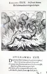 Comme la salamandre vit dans le feu, ainsi aussi la pierre, Emblème XXIX de Atalanta fugiens par Michael Maier, 1617