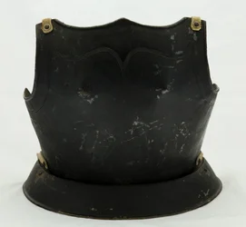 Plastron
