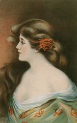 Beauté aux longs cheveux bruns
