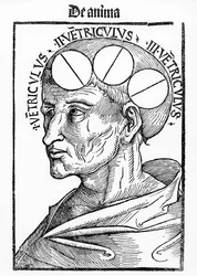 Cavités du cerveau, de Philosophia Naturalis par Albertus Magnus, publié à Bâle en 1506