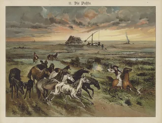 Die Pukta