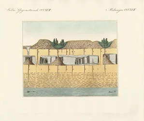 Tuyaux de terre