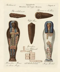 Momies égyptiennes