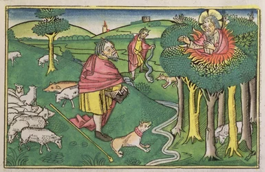 Exode 3:1-22 Le Buisson Ardent, et Exode 4:1-4 Dieu arme Moïse de la verge miraculeuse, de la Bible de Nuremberg (Biblia Sacra Germanaica)